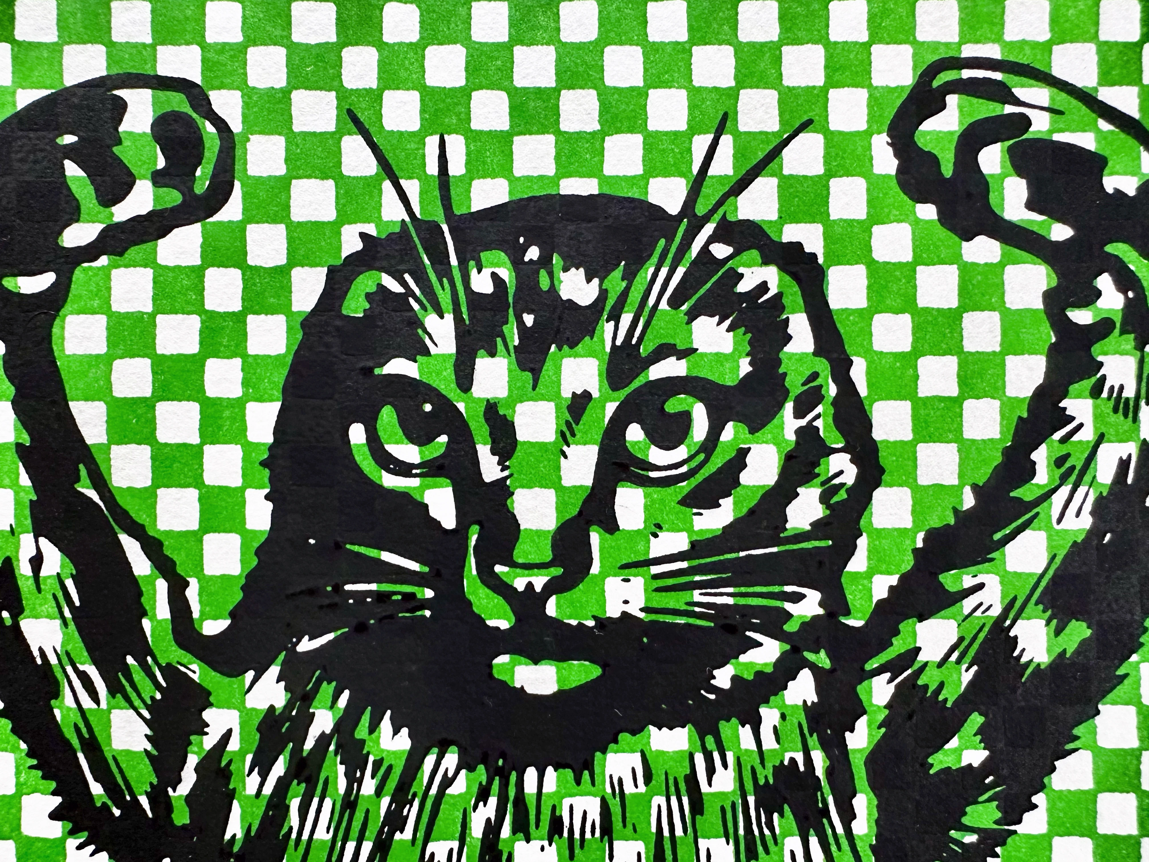 release image