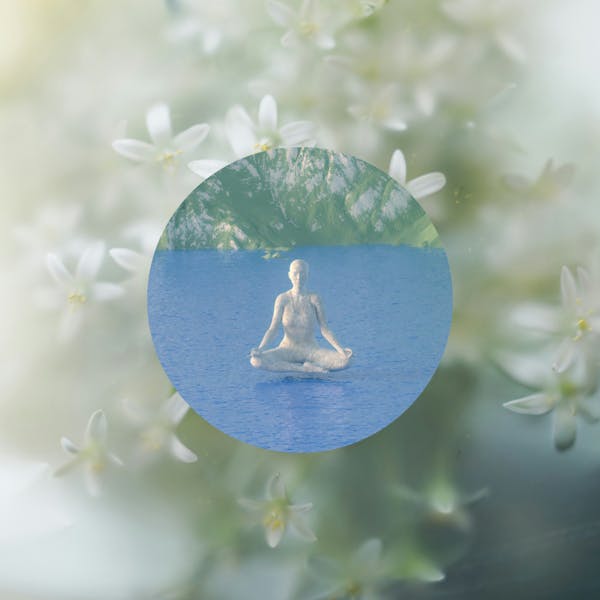 ⋆   ˜҈    Breathing in, Breathing out ⋆⁎⁺ Guided Meditation ✧ 