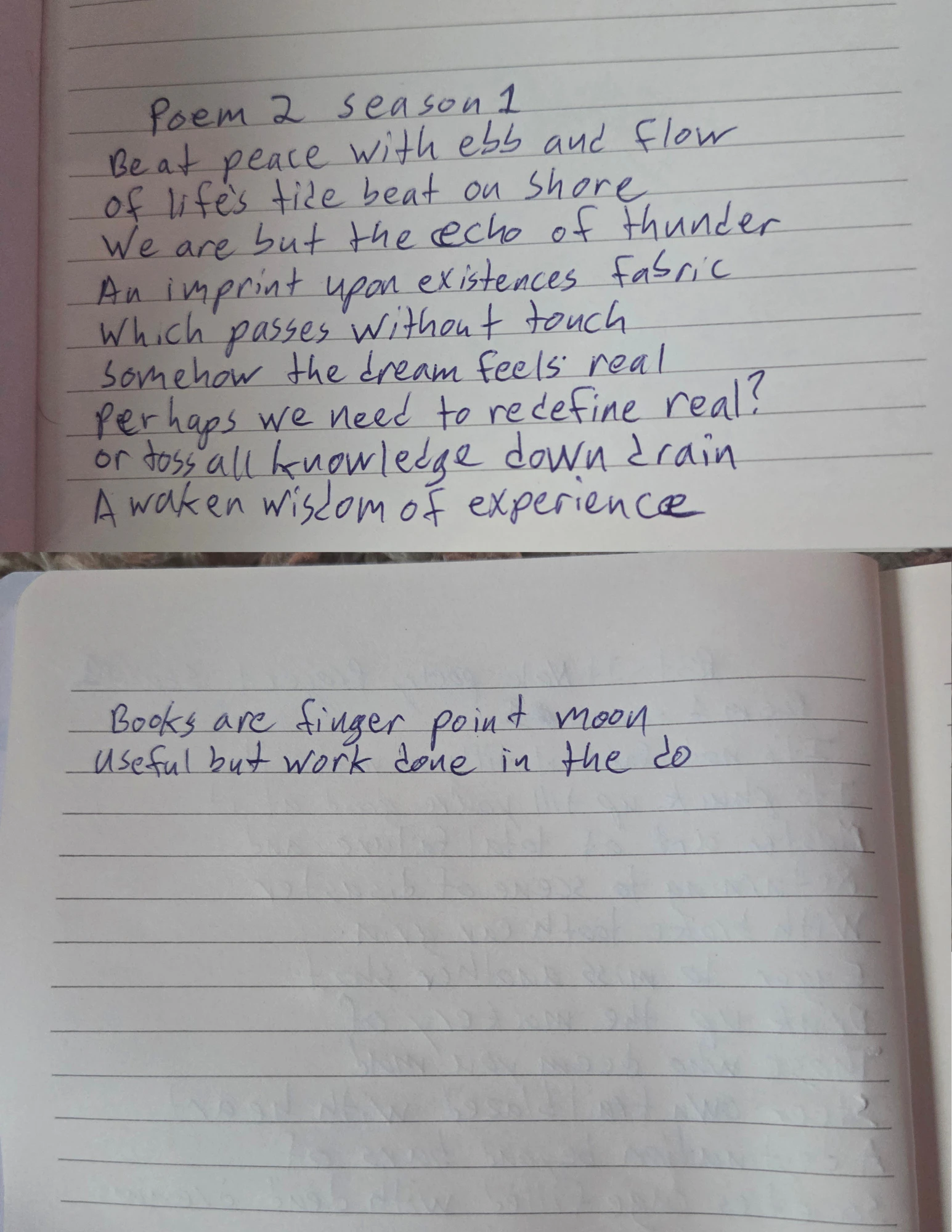 Poem 2 as written in the notebook to preserve long term since the original will be raffled off