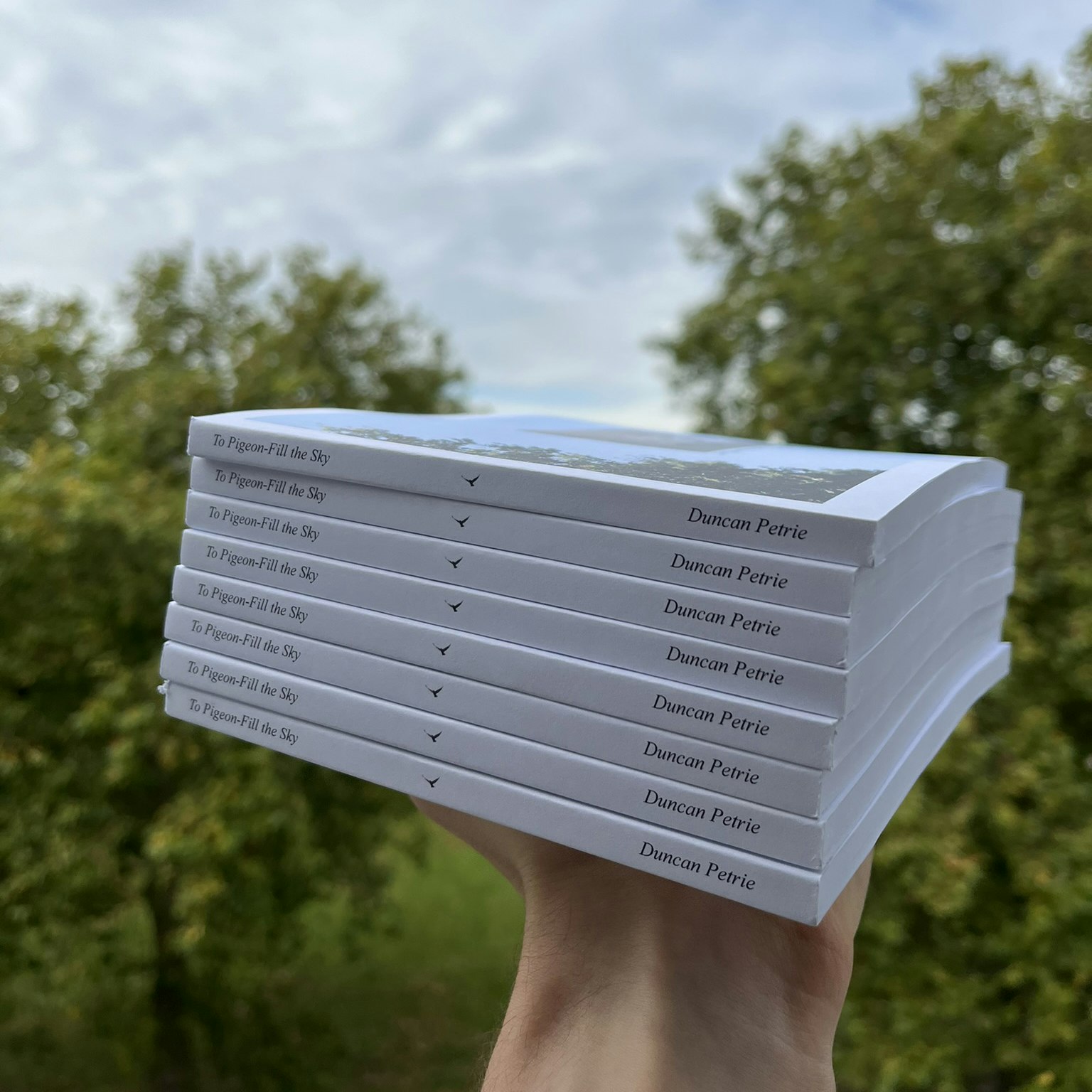 A stack of copies of To Pigeon-Fill the Sky (the Book) held up in front of the sky.