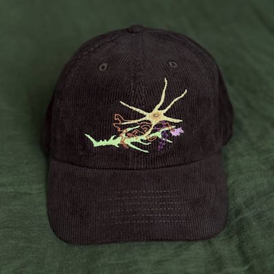 BIOVERSE HAT — Thismia Neptunis