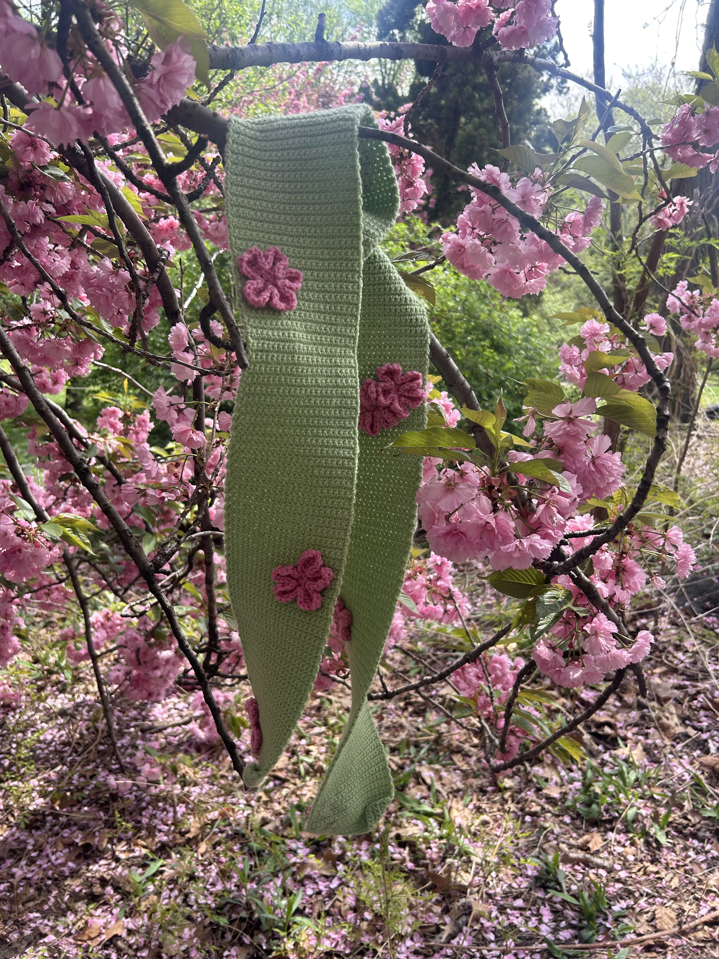 release image
