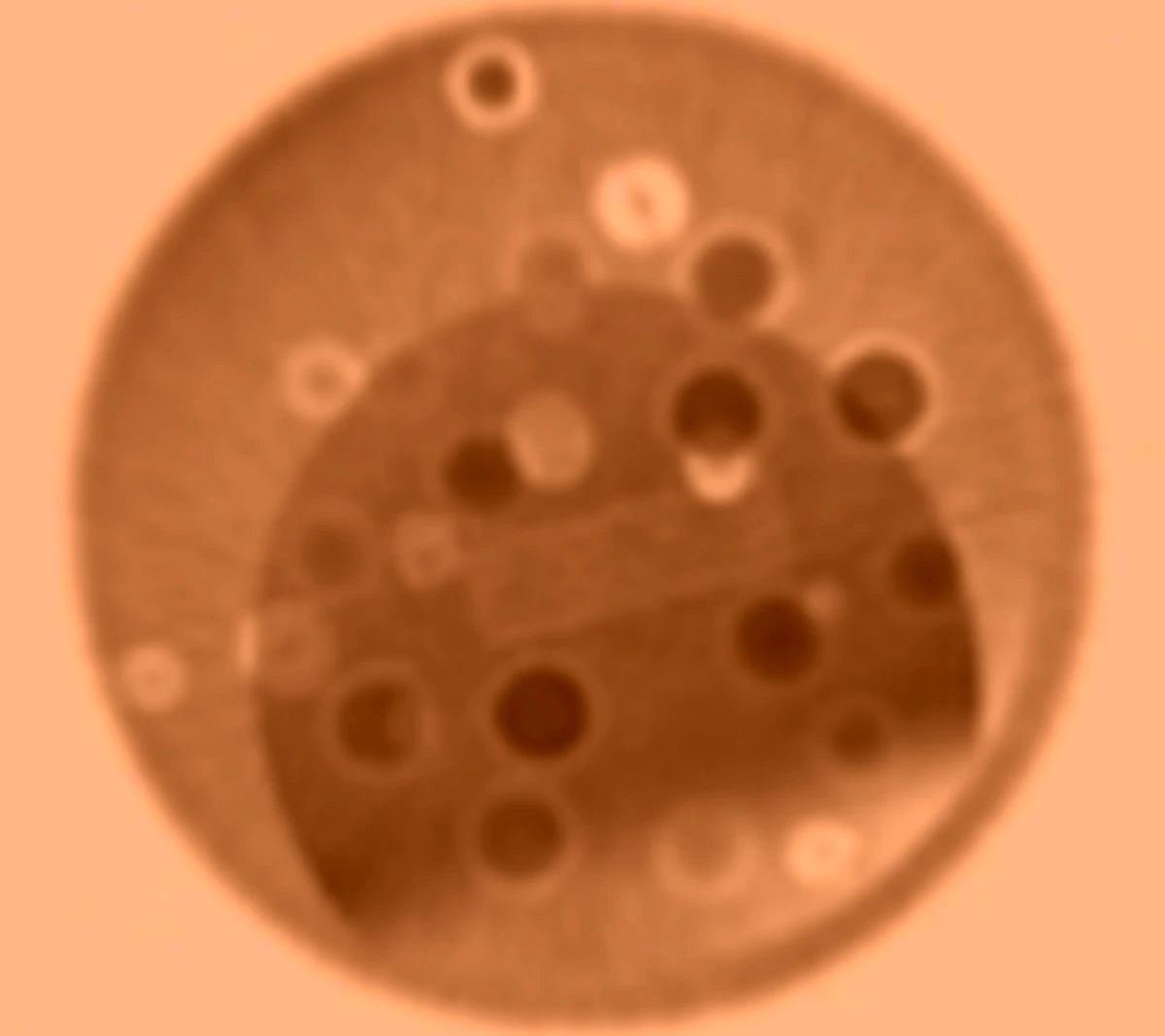 release image