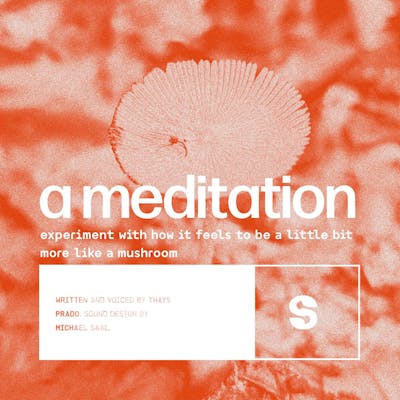 A meditation: be more like a mushroom
