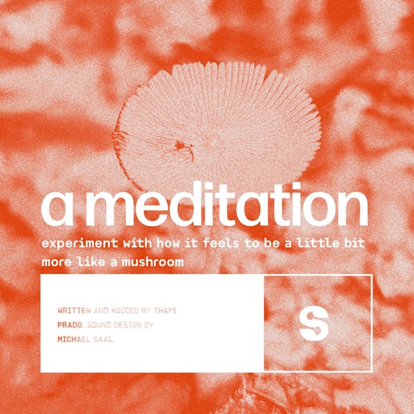 A meditation: be more like a mushroom