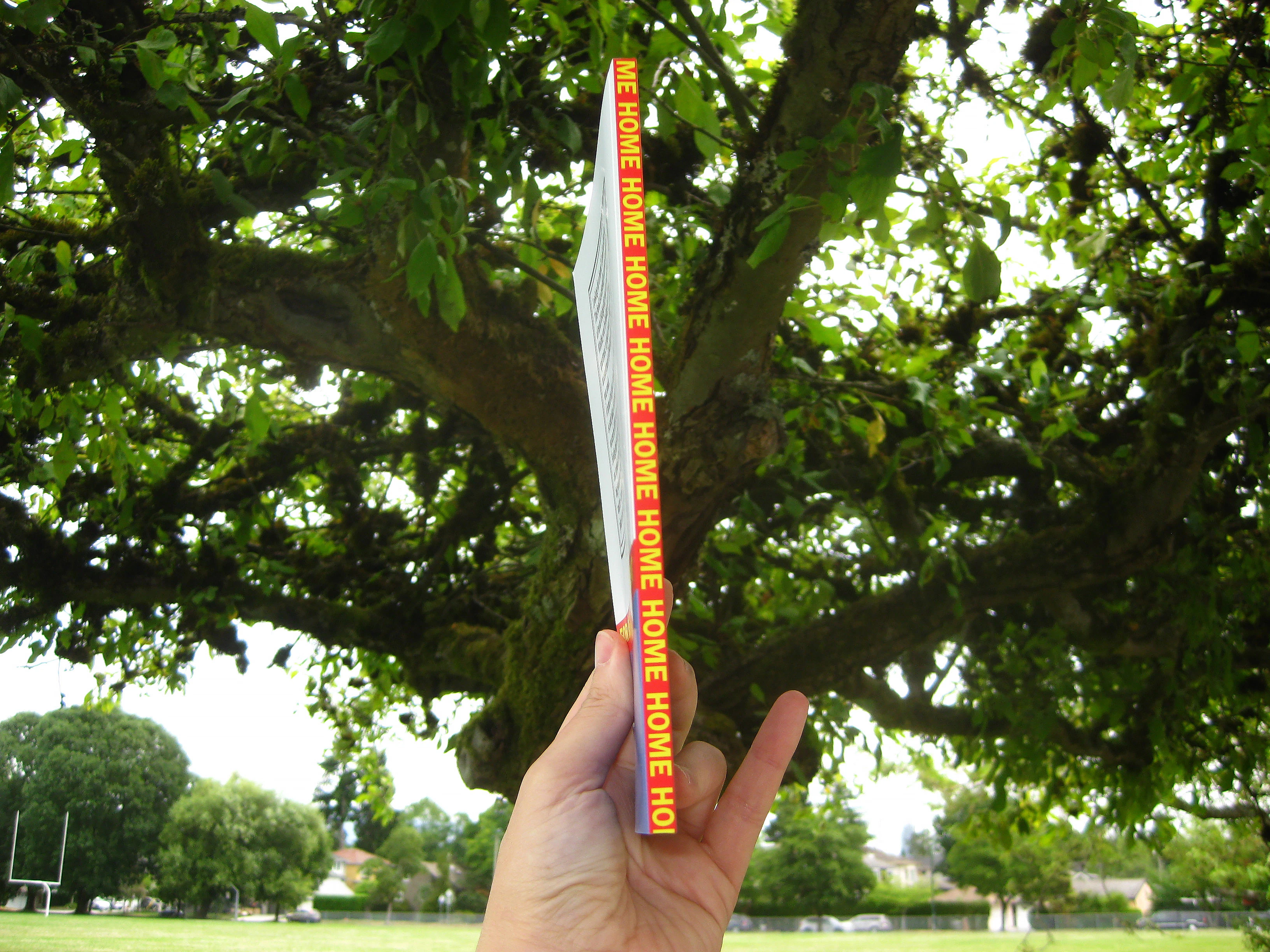 Home book spine