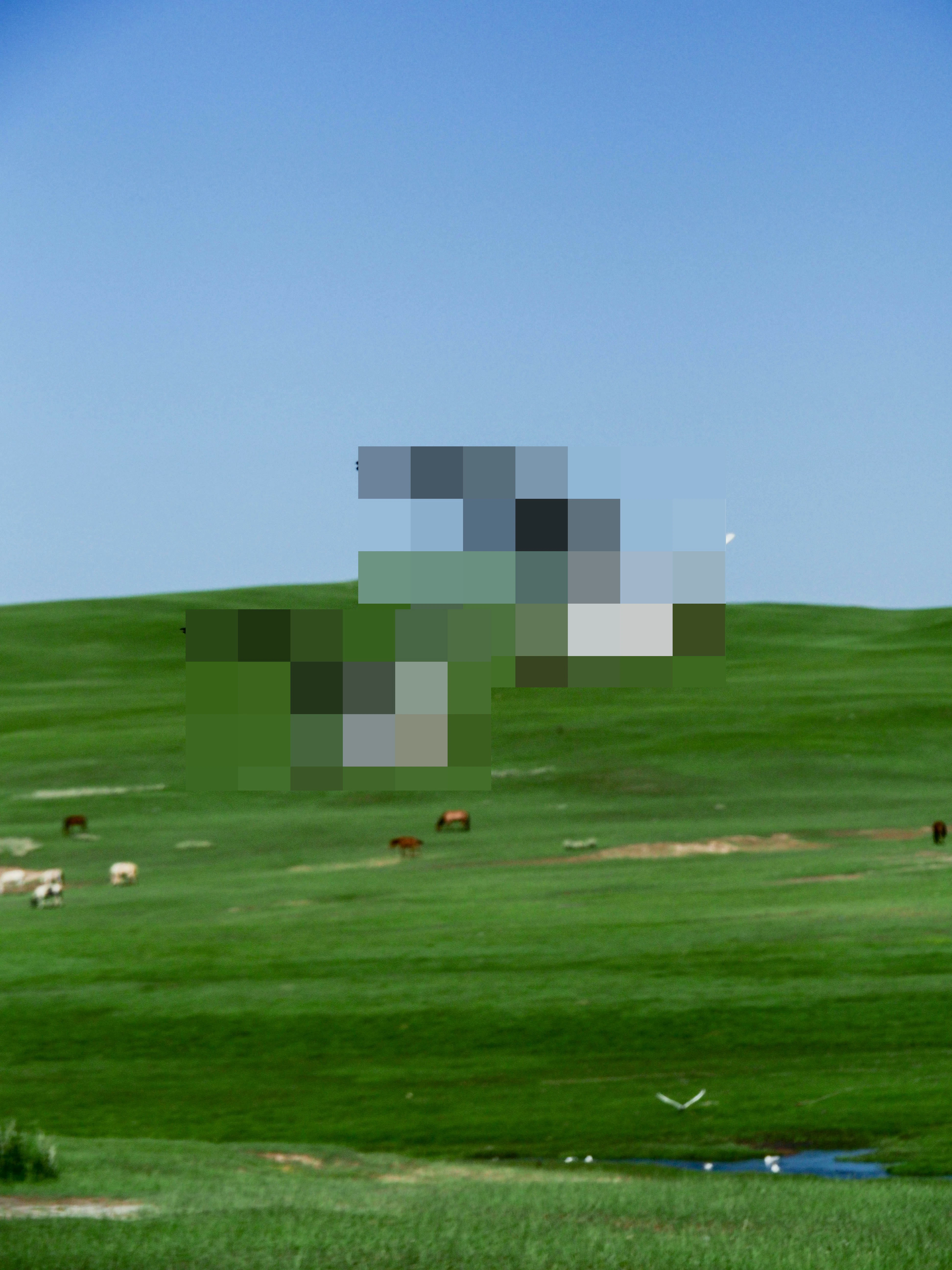 release image