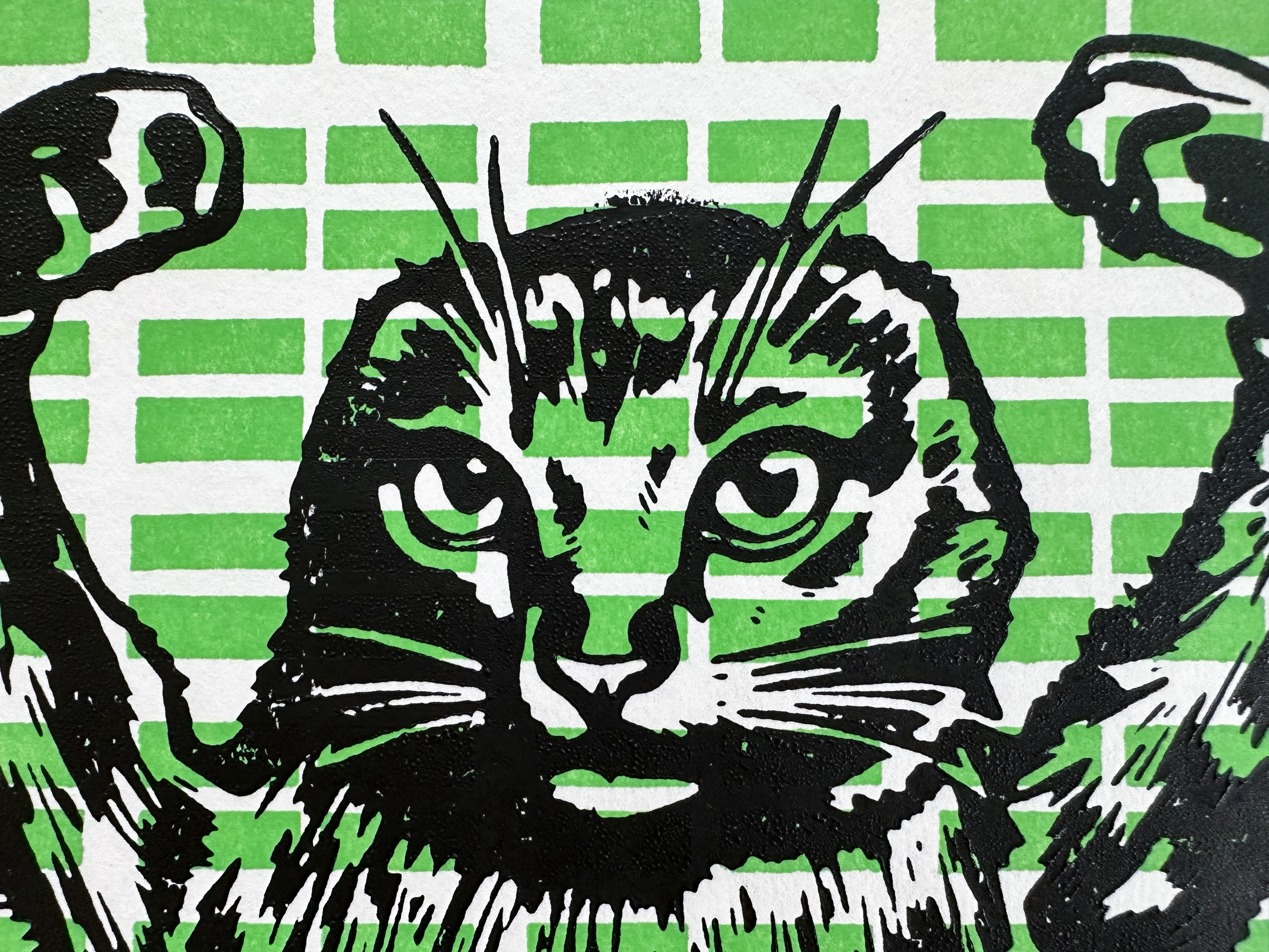 release image