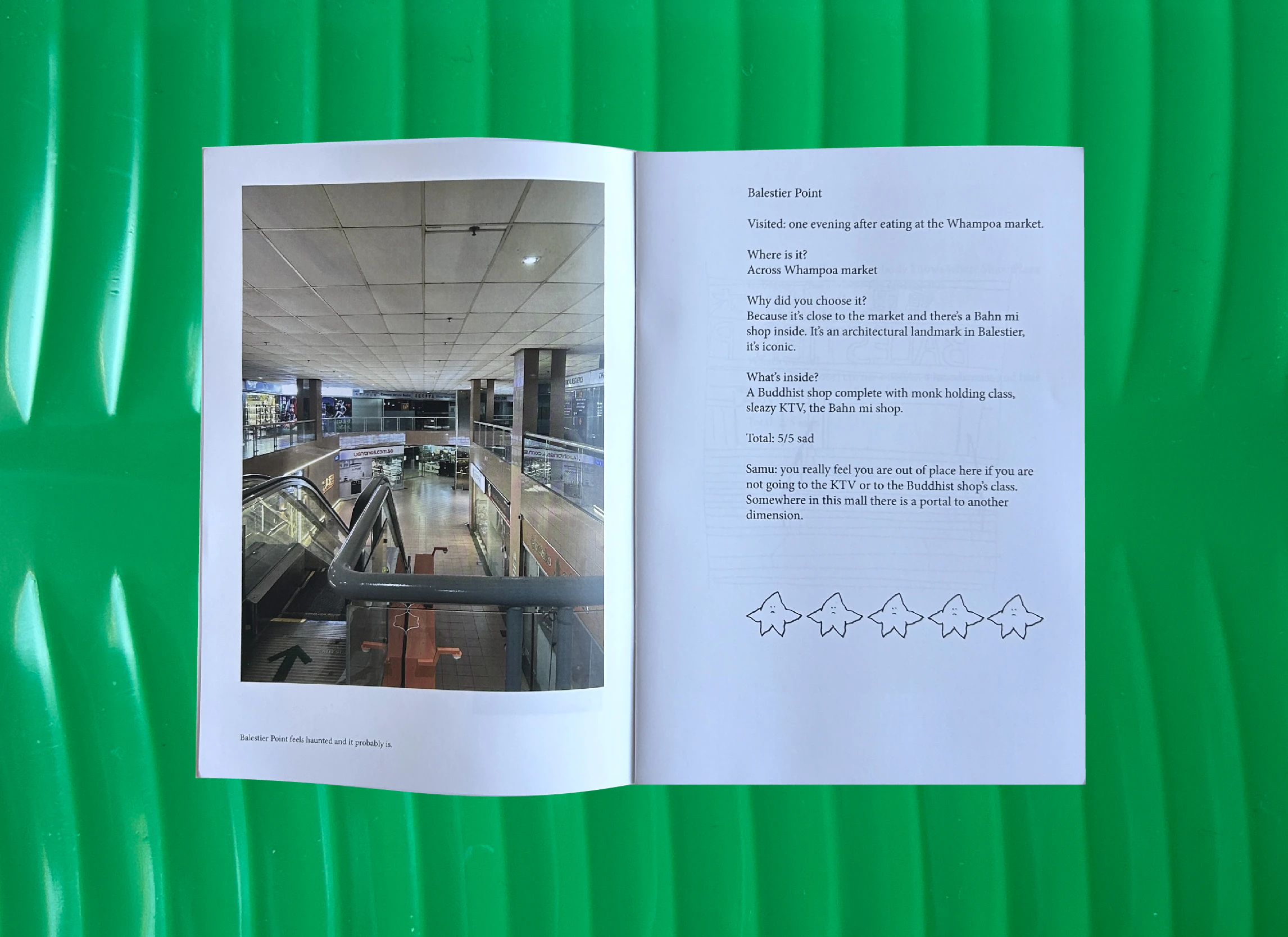 spread of sad or not zine on a fake banana leaf