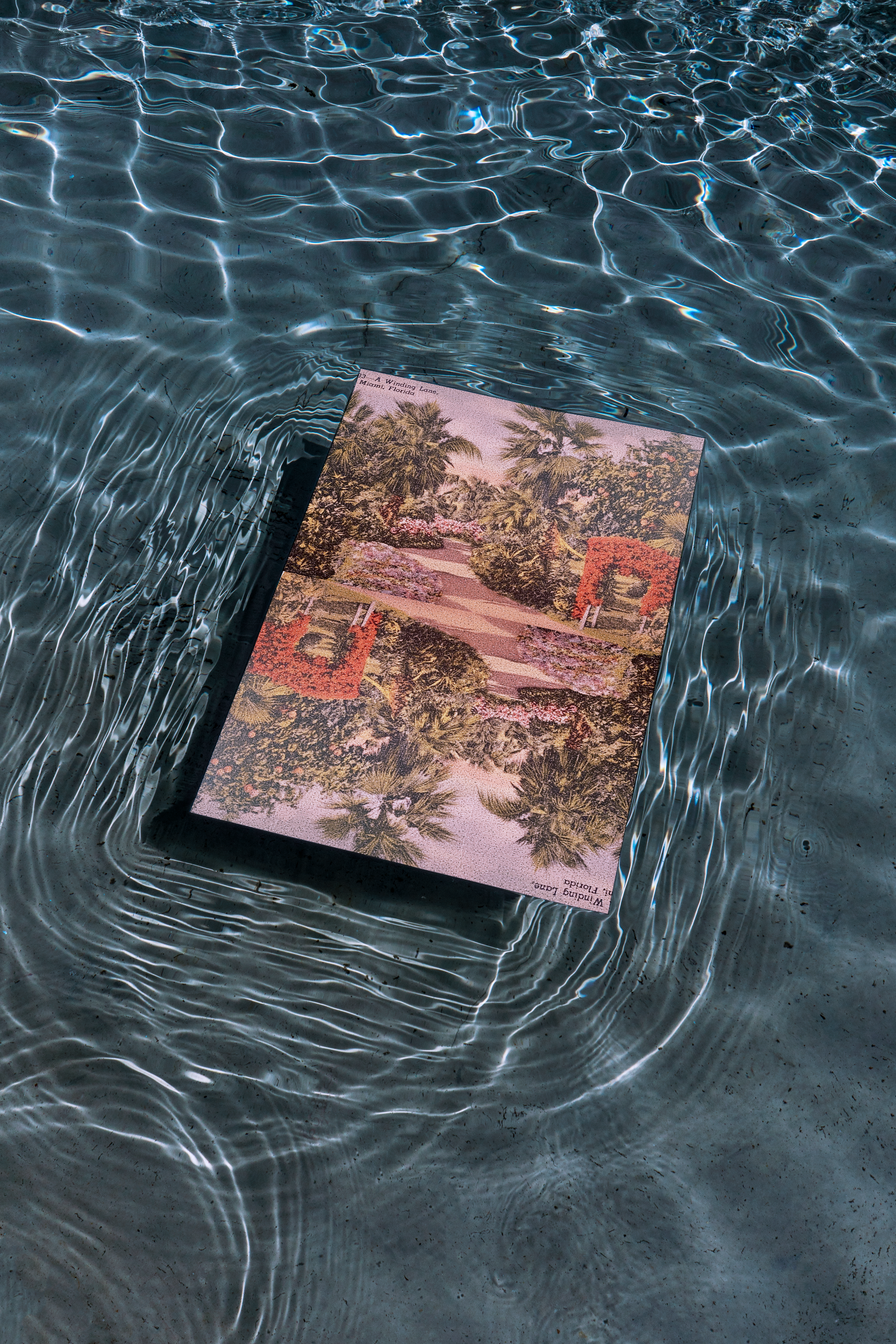 Vizcaya, a zine of poems