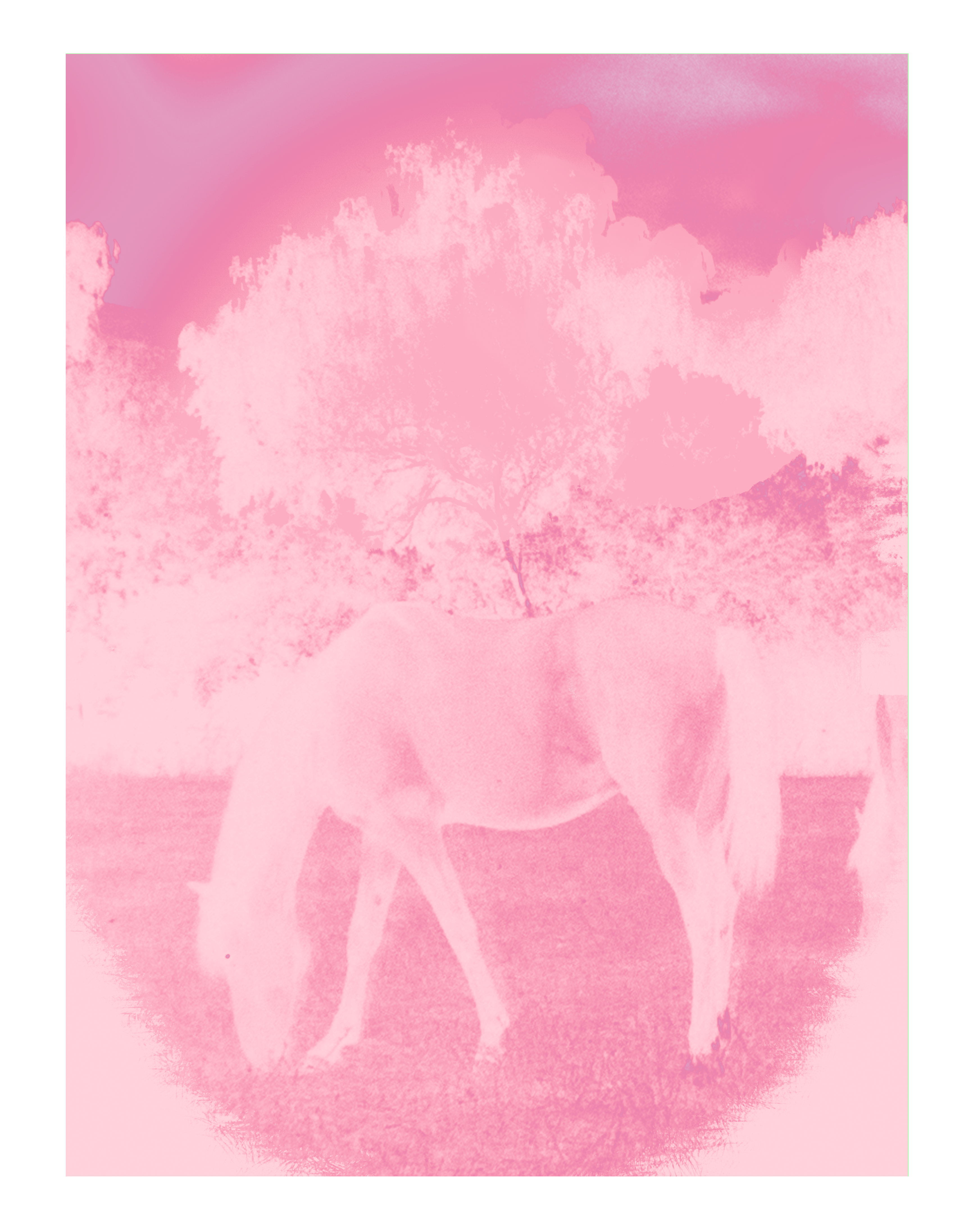 HORSE GROWS IN LOVE
