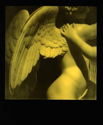 The Yellow Serie