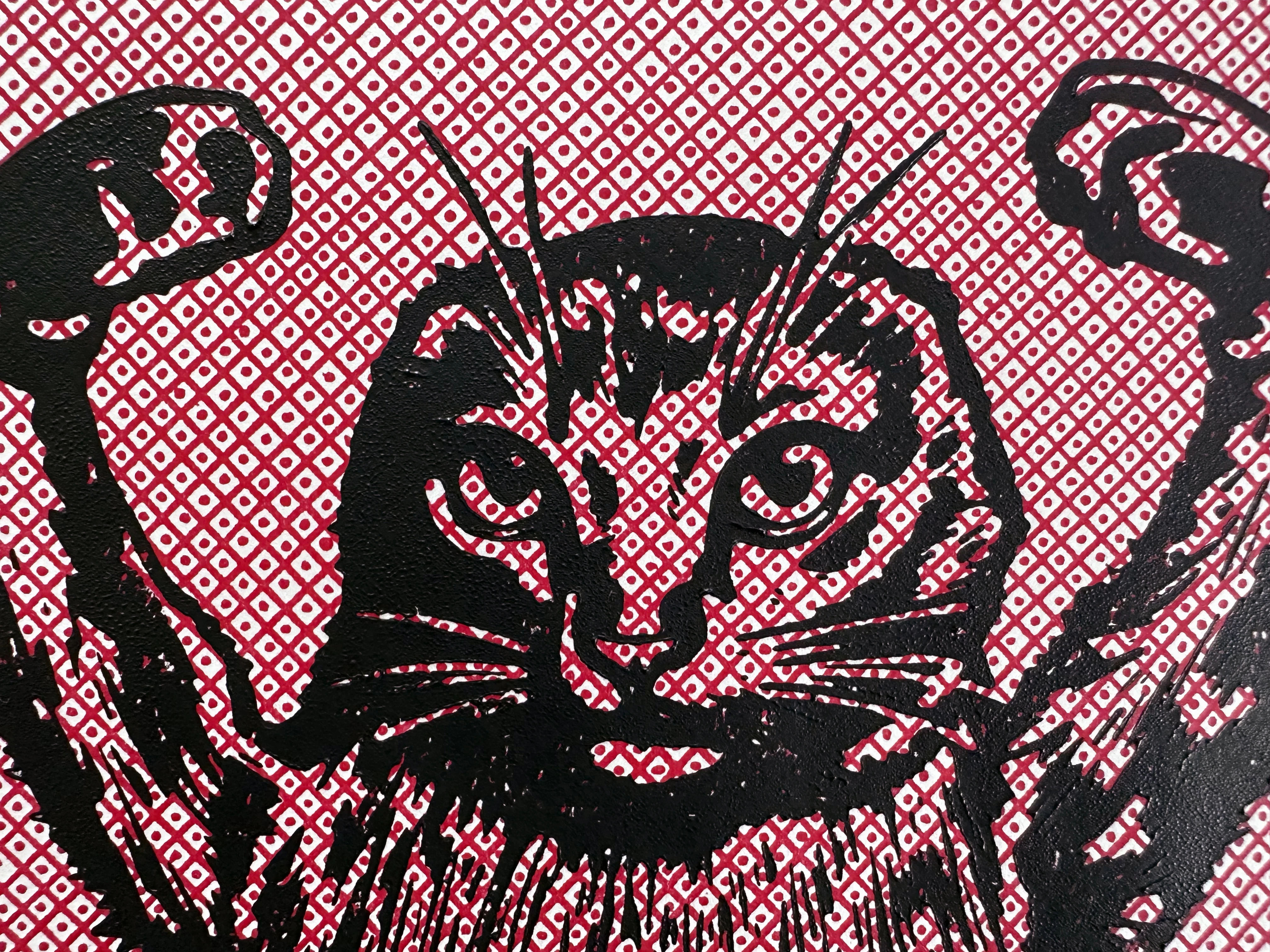 release image