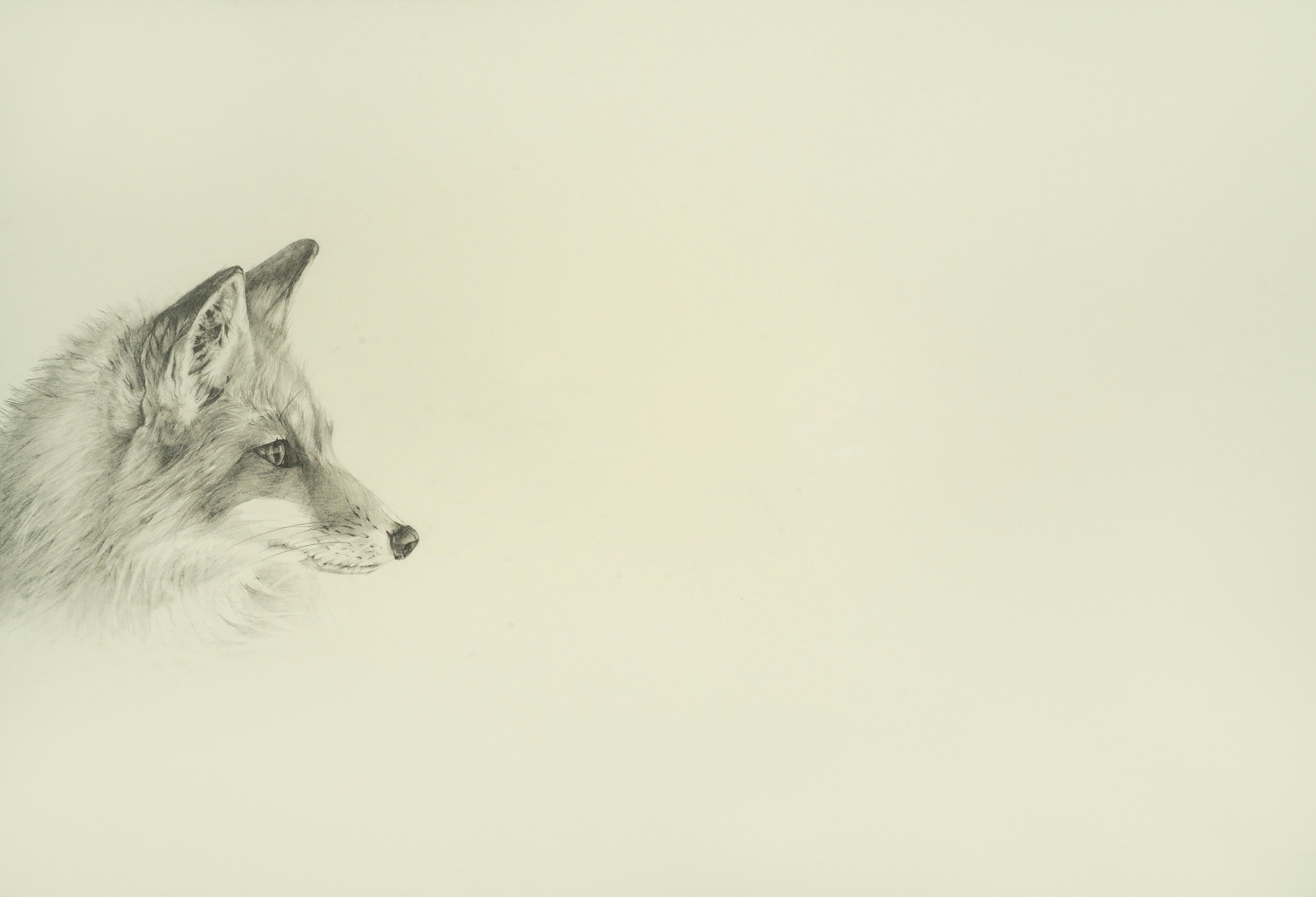 Away (for Hayden Carruth)