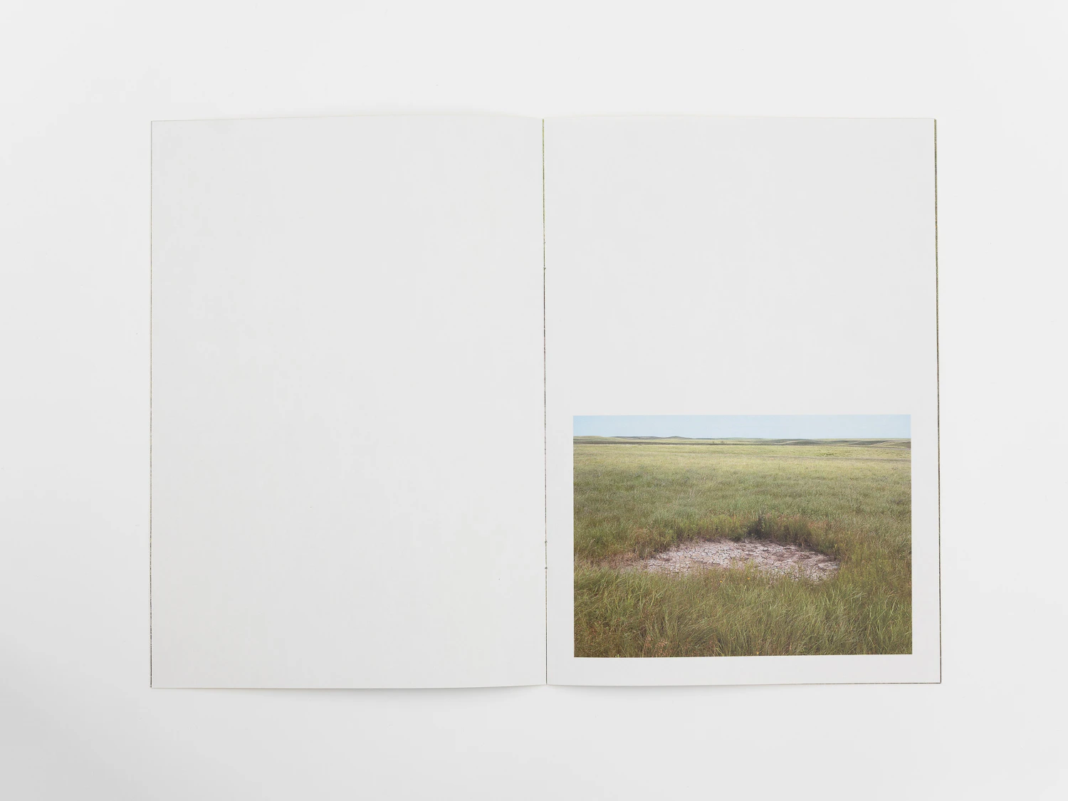Spread from Bison Wallow