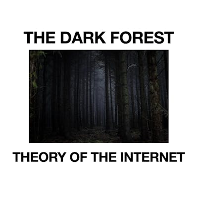 The Dark Forest Theory of the Internet
