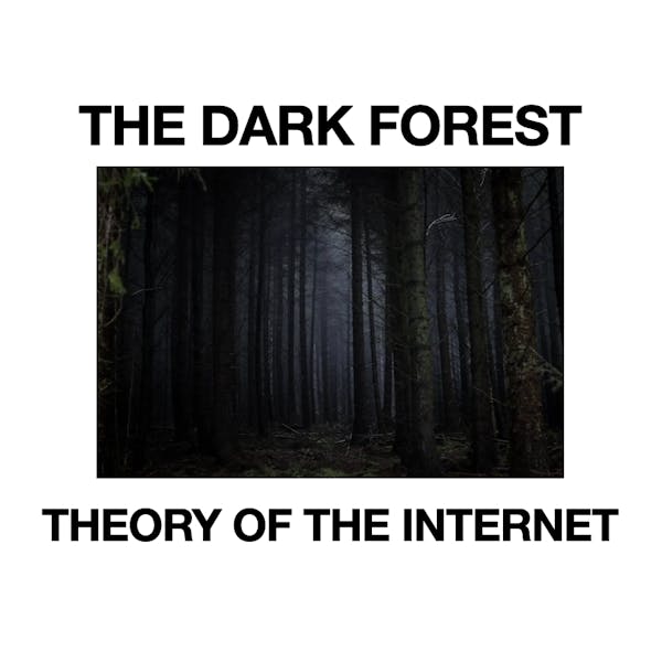 The Dark Forest Theory of the Internet