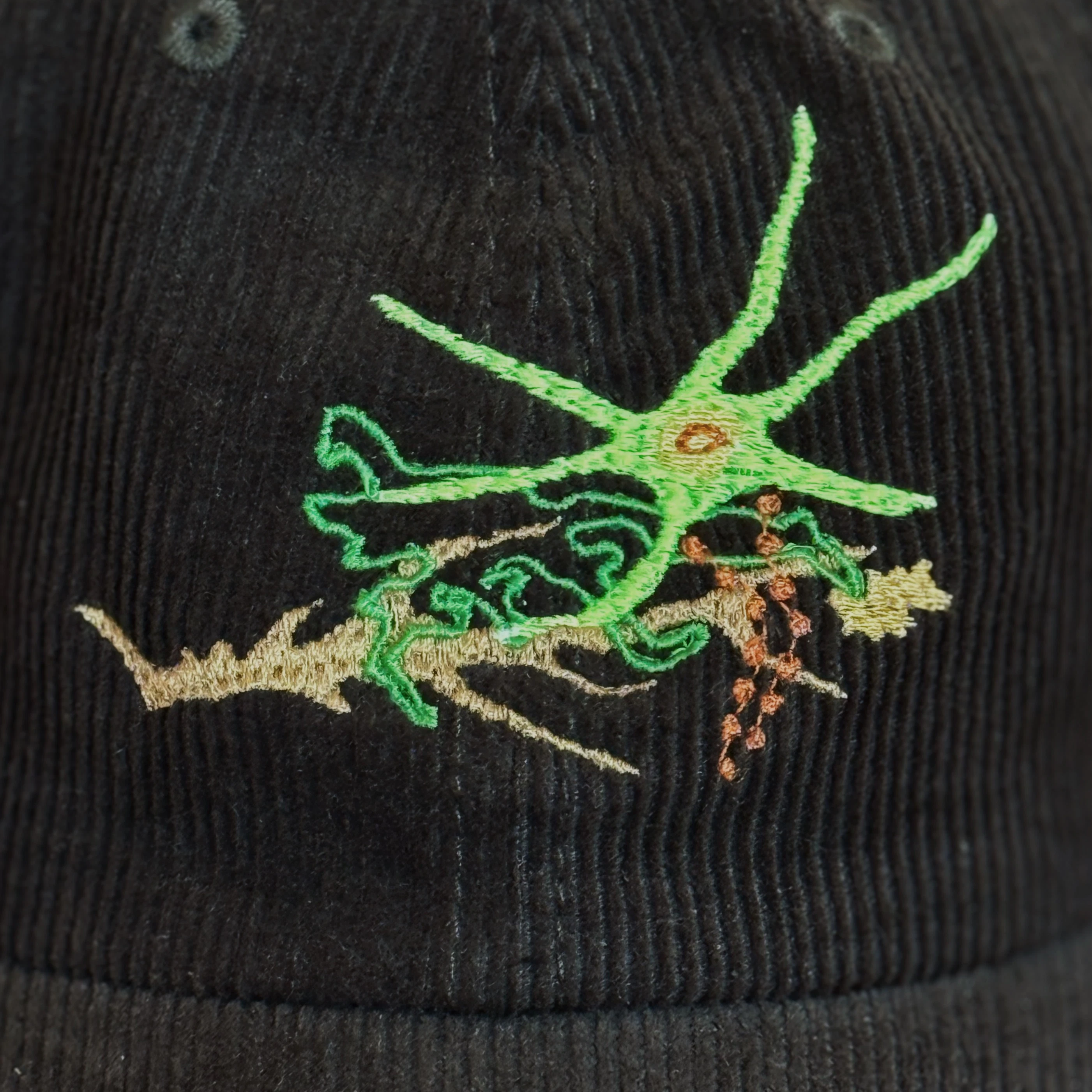 release image
