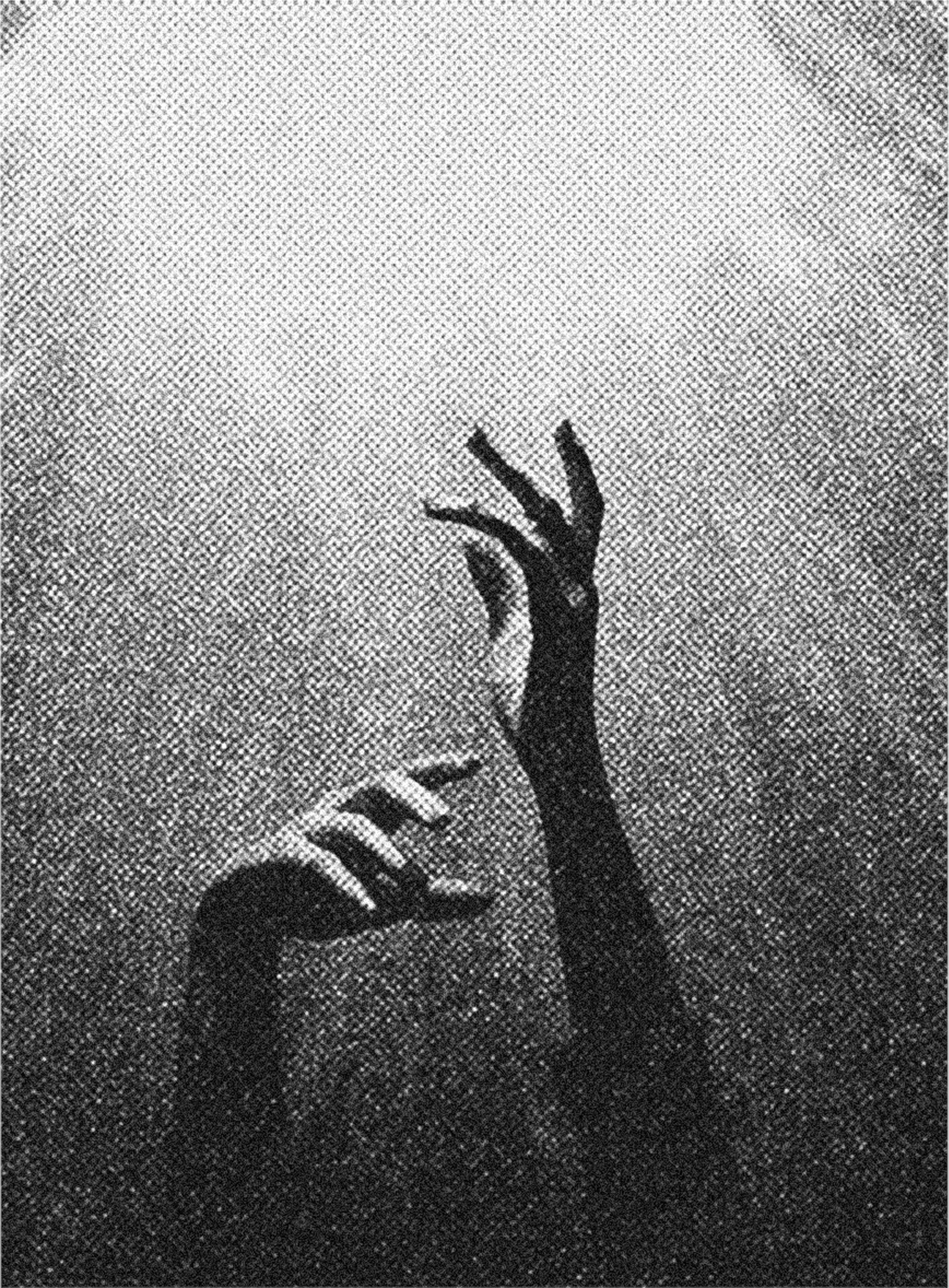 Self-sovereignty. Often featured as promo graphic for the Logos Circles. 