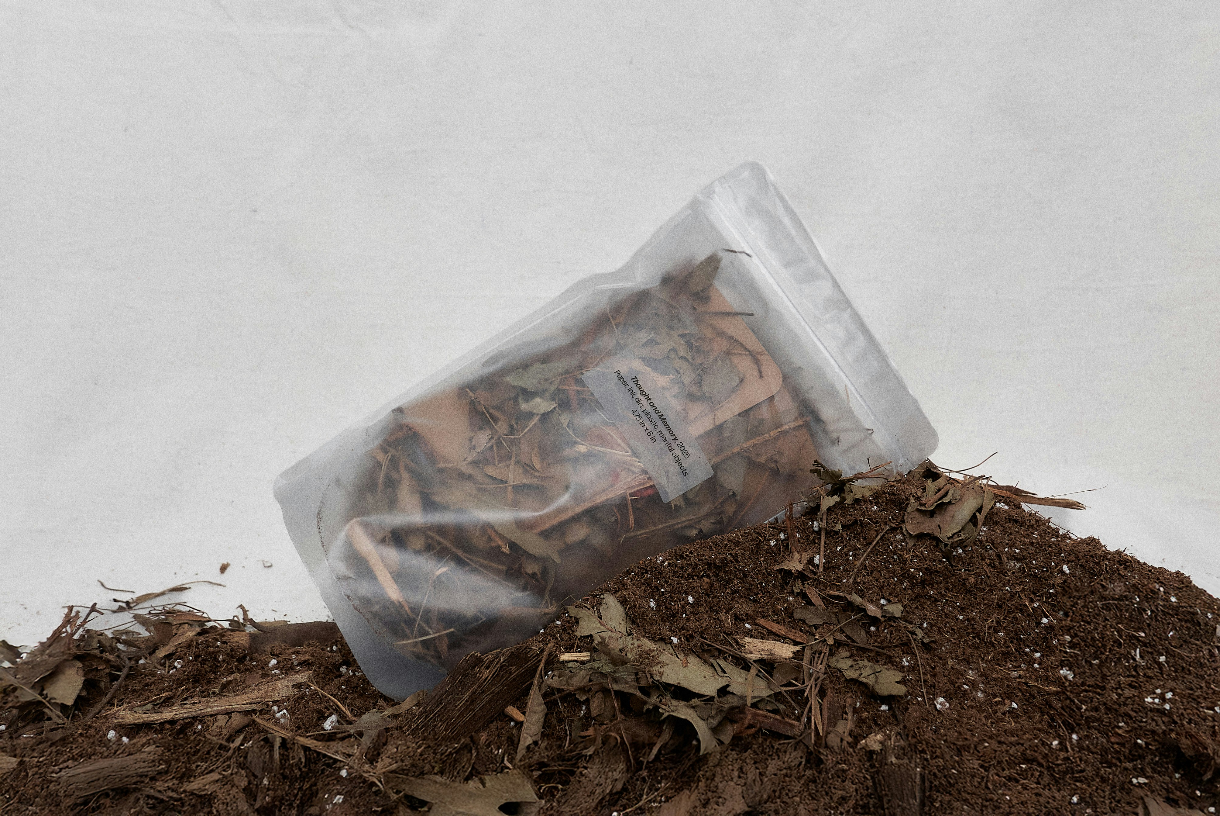 The book collection Thought and Memory in its packaging