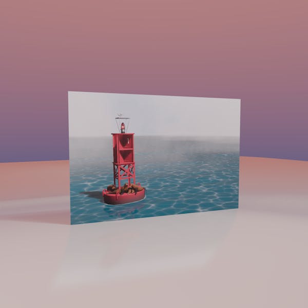postcard no. 01 - "sea lion summer"