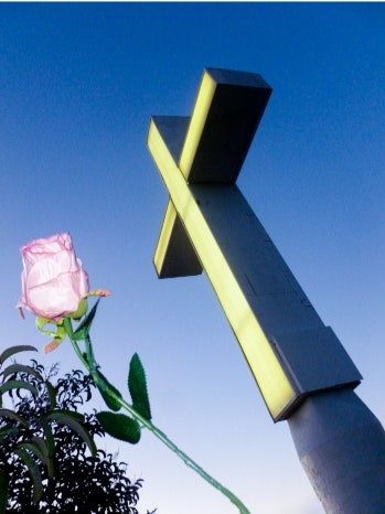 by Cara Barrow @carraa707