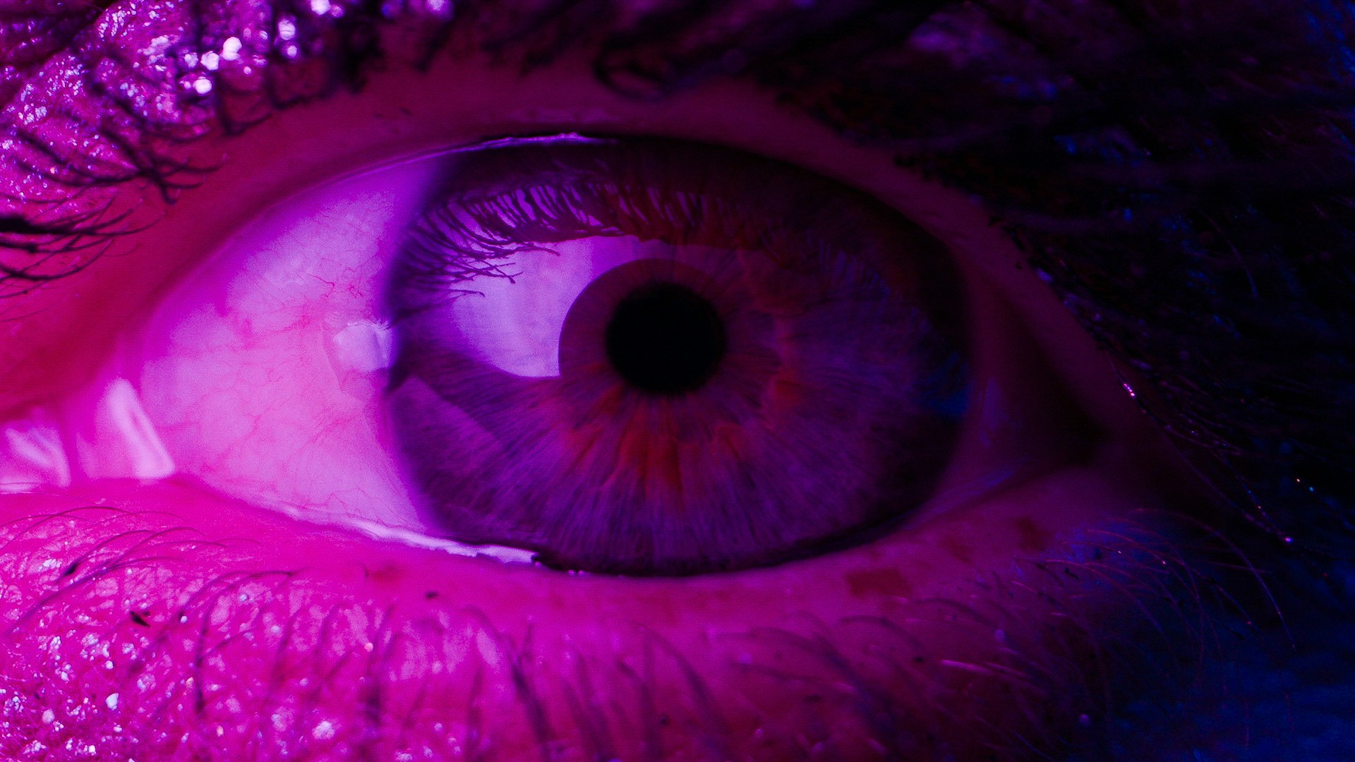 Still from the film "Your Final Meditation"