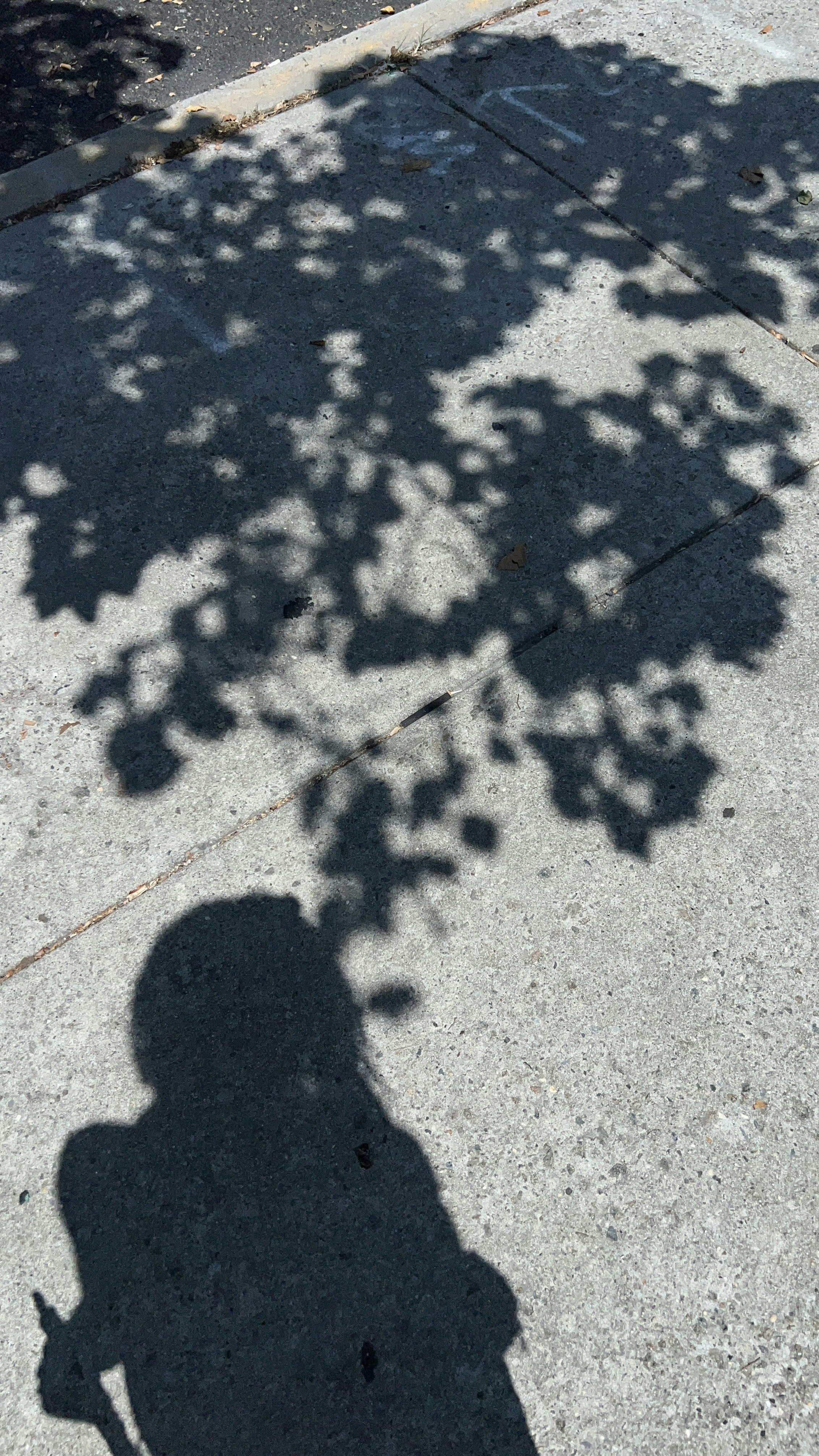 iphone photo of me outside, appreciating shadows