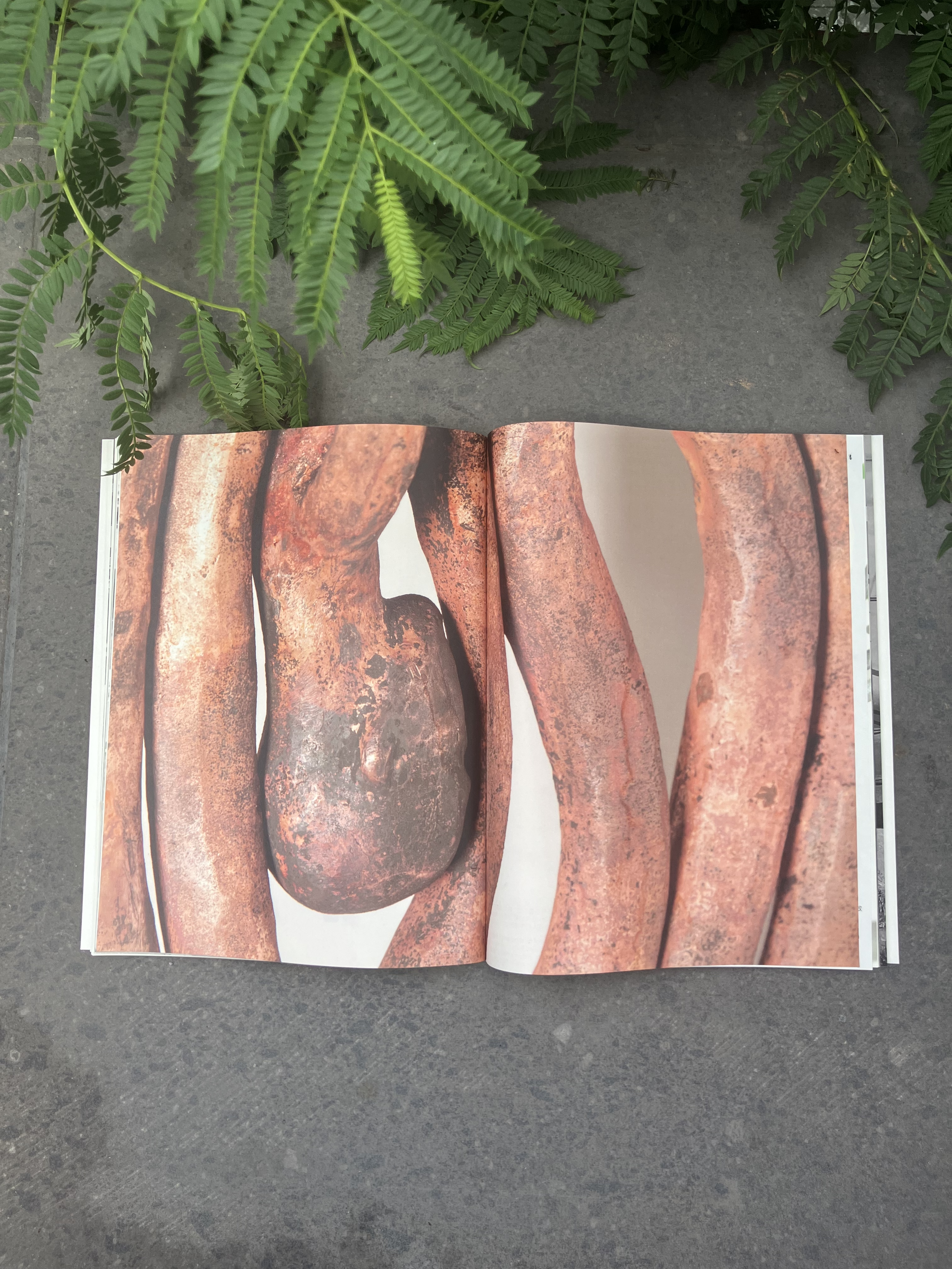 release image