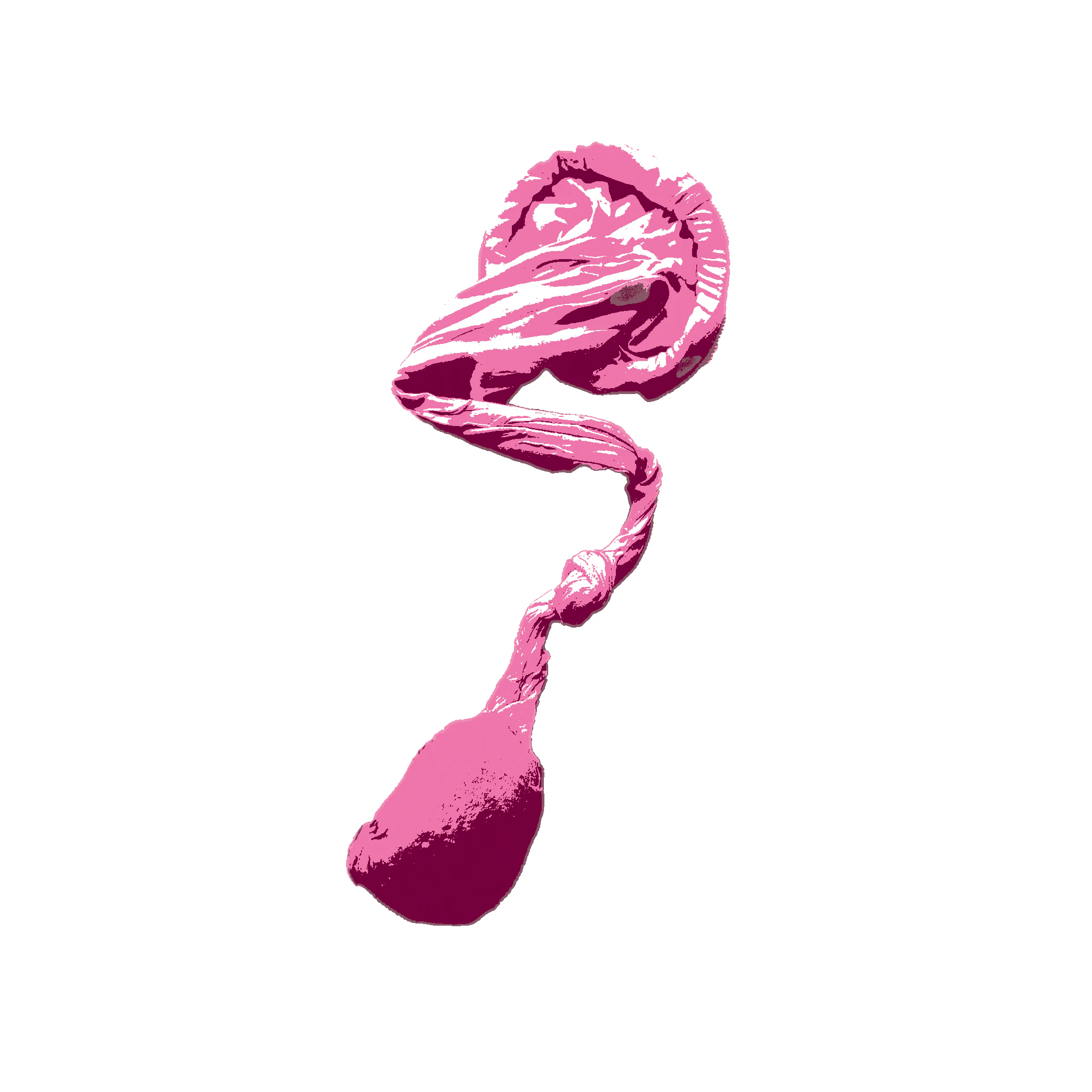 pink condom stocking slingshot
