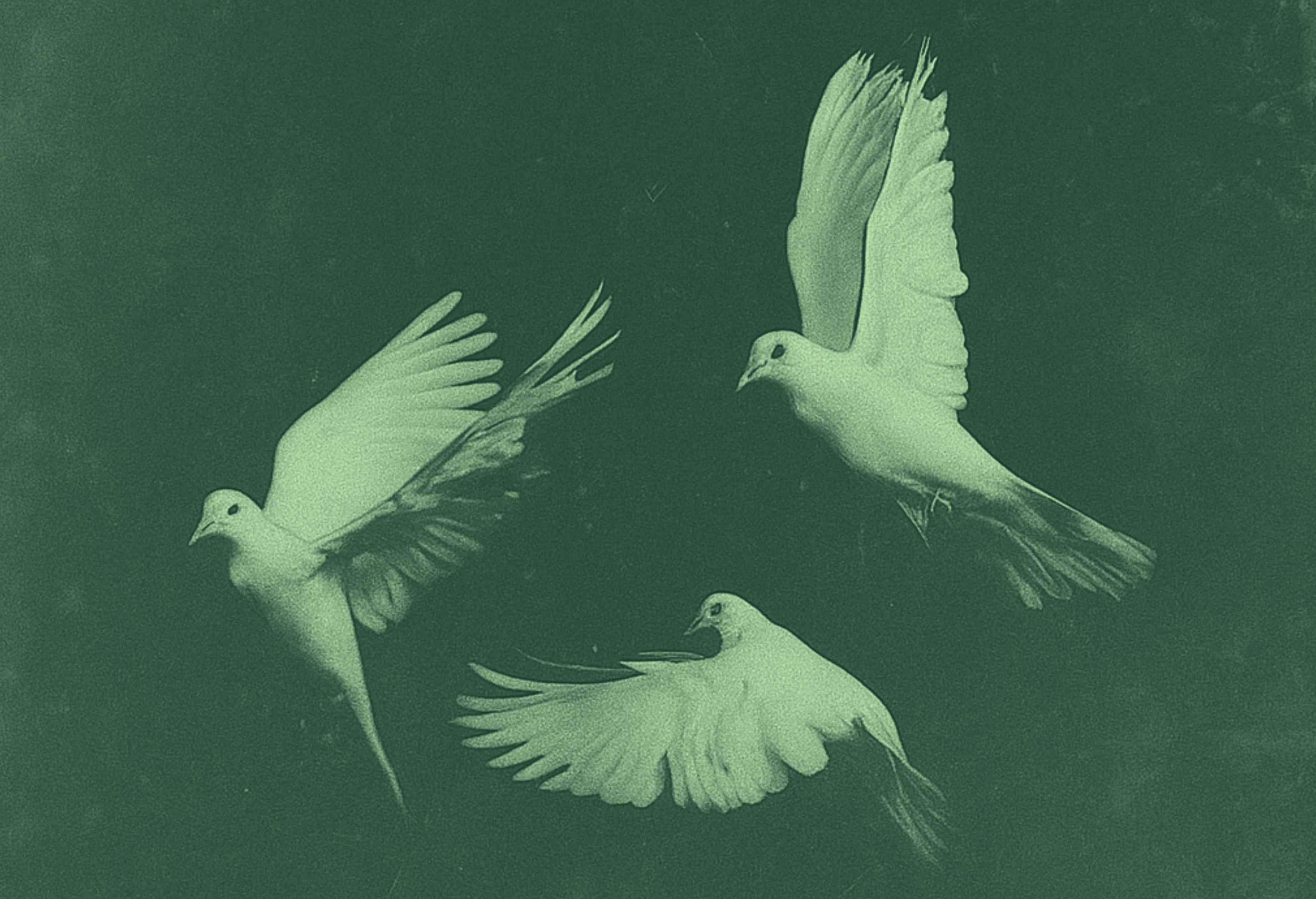 The Wise Agency: Accomplish Consciously, Together