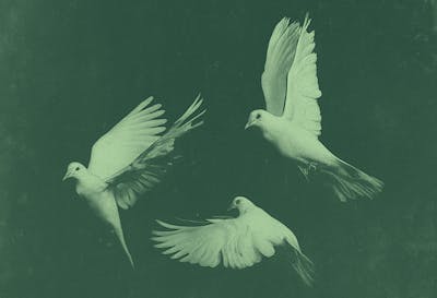 The Wise Agency: Accomplish Consciously, Together