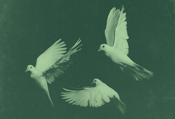 The Wise Agency: Accomplish Consciously, Together