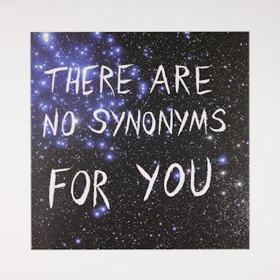 There Are No Synonyms for You