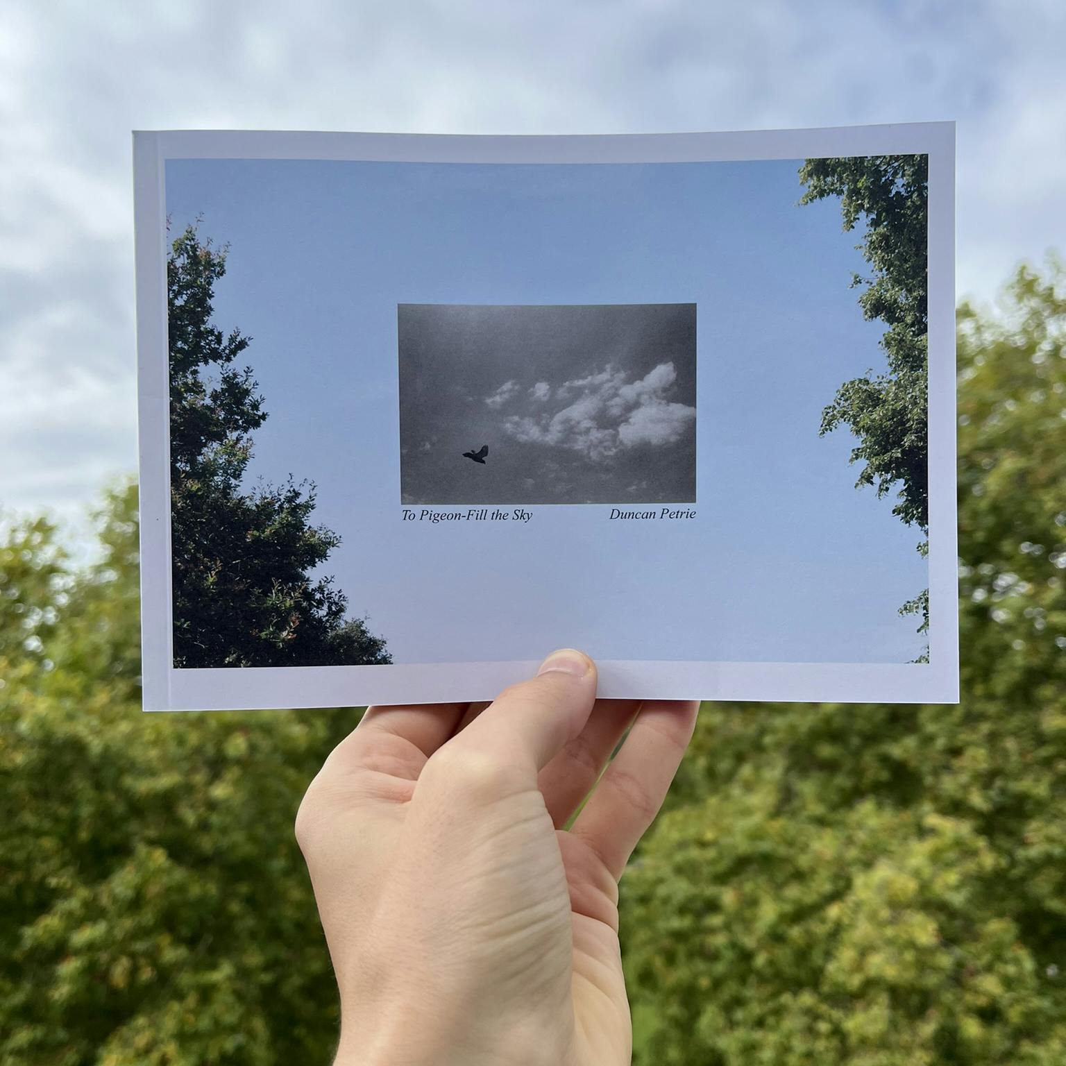 To Pigeon-Fill the Sky