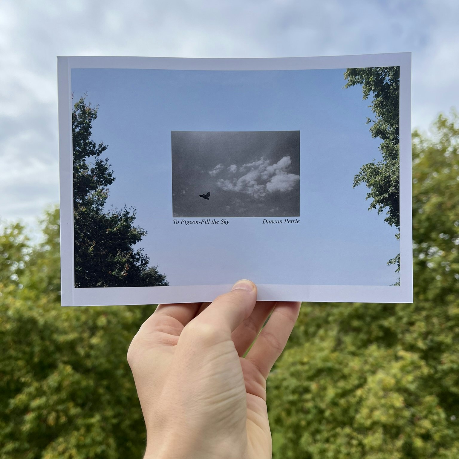 To Pigeon-Fill the Sky (the Book) held up in front of the sky, showing its front cover.