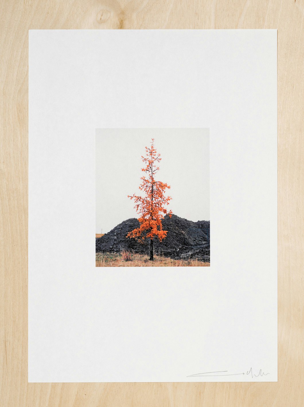 On The Line #3, Chroma print on 70g Kozo Paper. Signed Print 210mm x 297mm (8.3" x 11.7") 