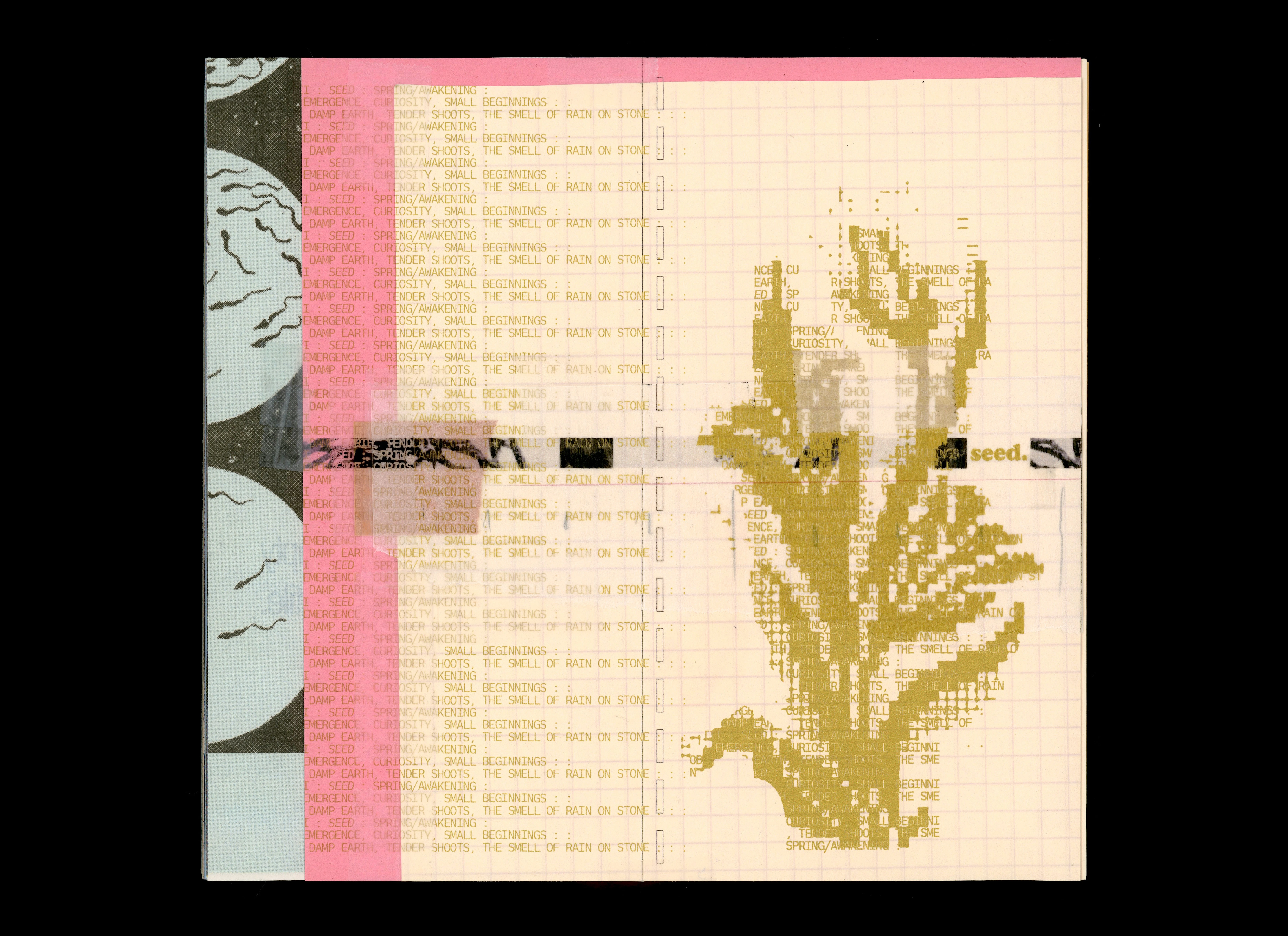 release image