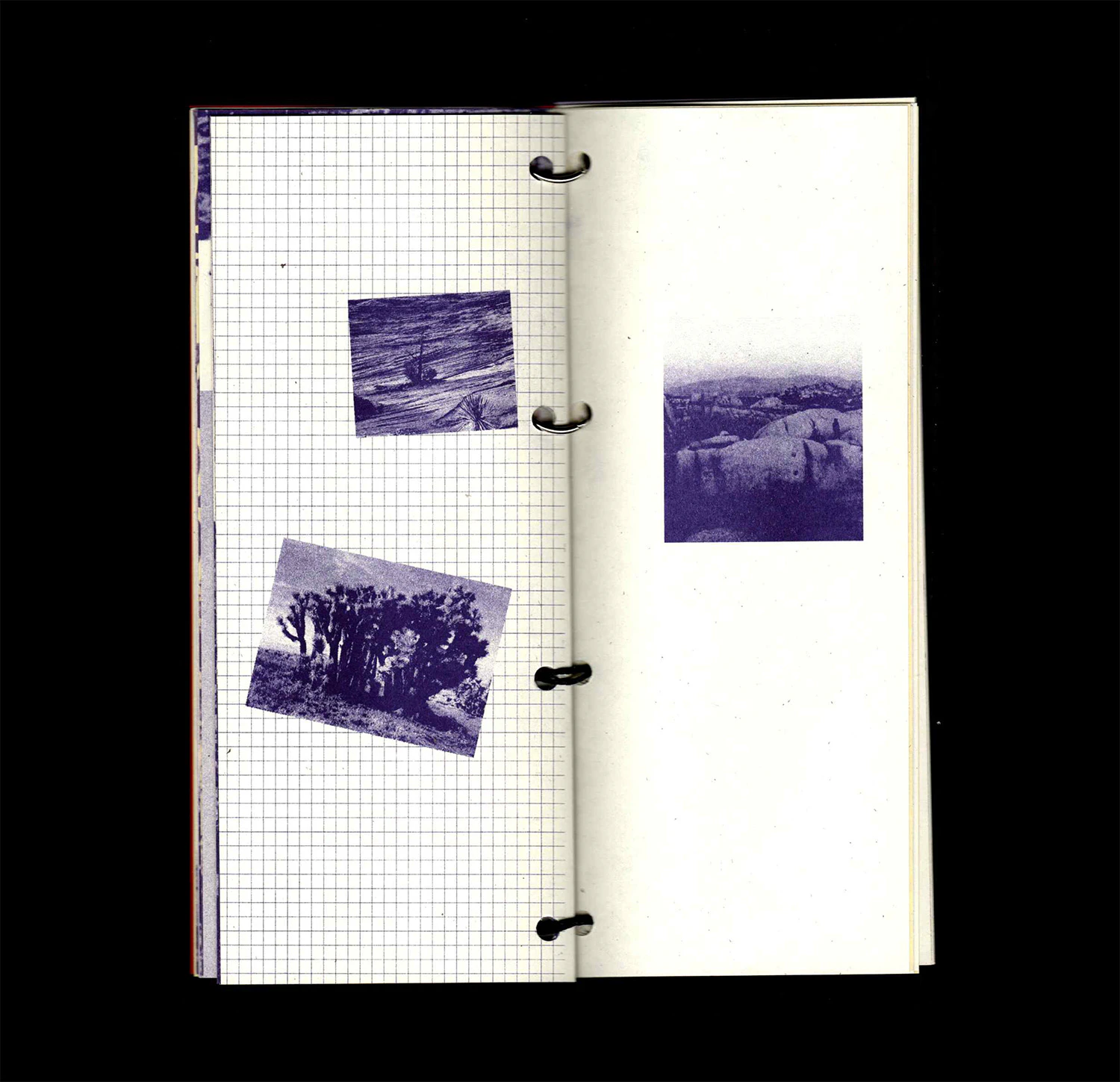 release image
