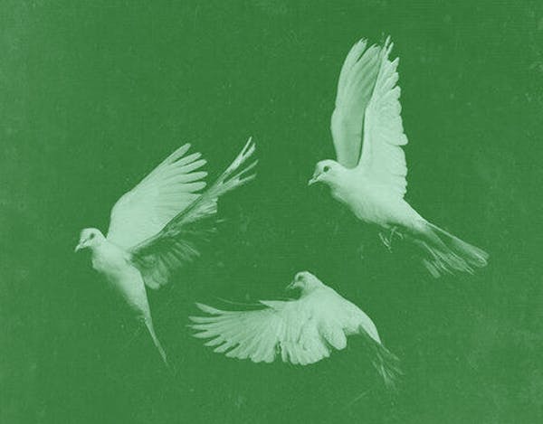 The Wise Agency: Accomplish Consciously, Together