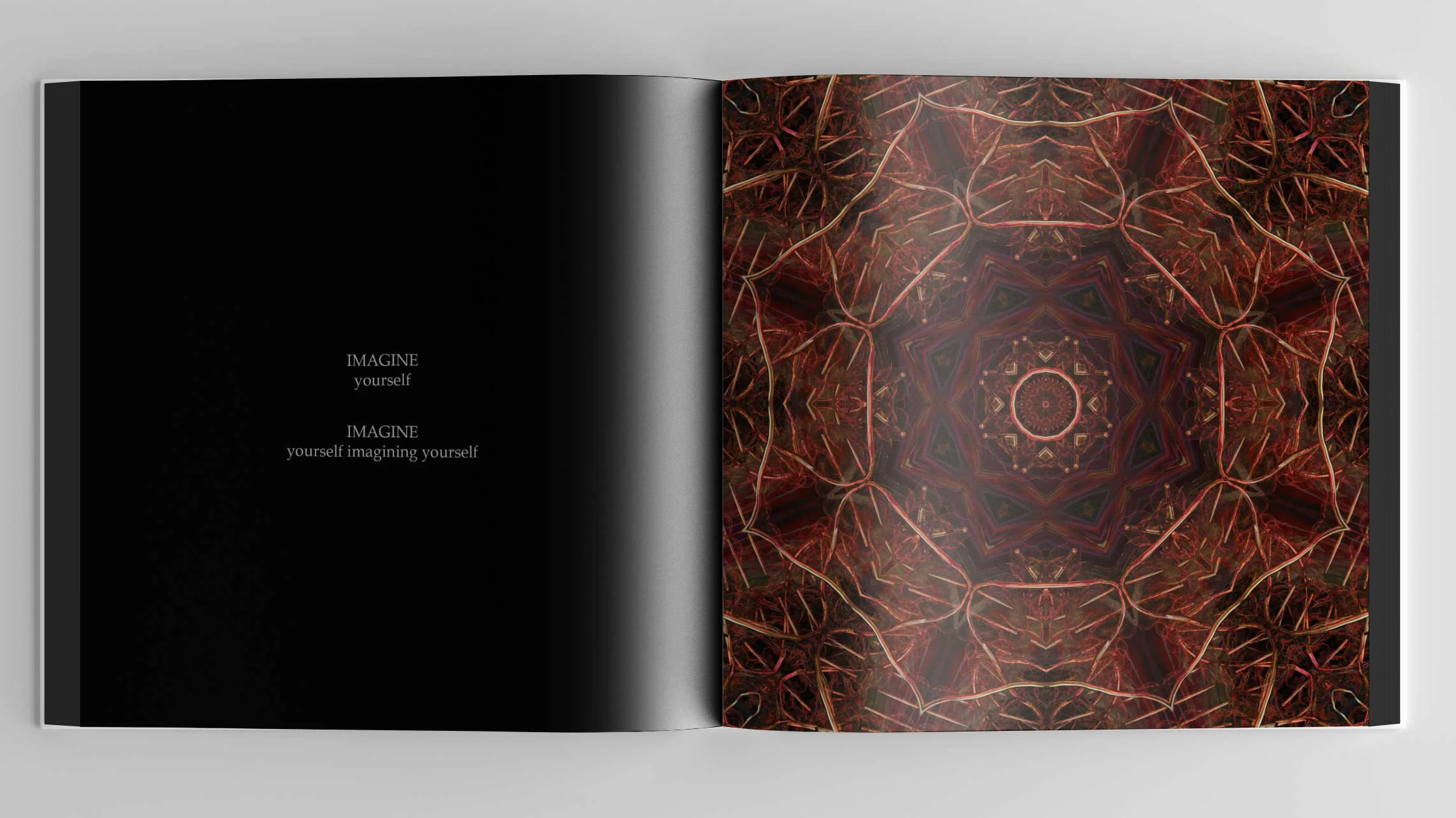 spread from "A Guided Sublimation (Portals)" artist book by Laura Splan