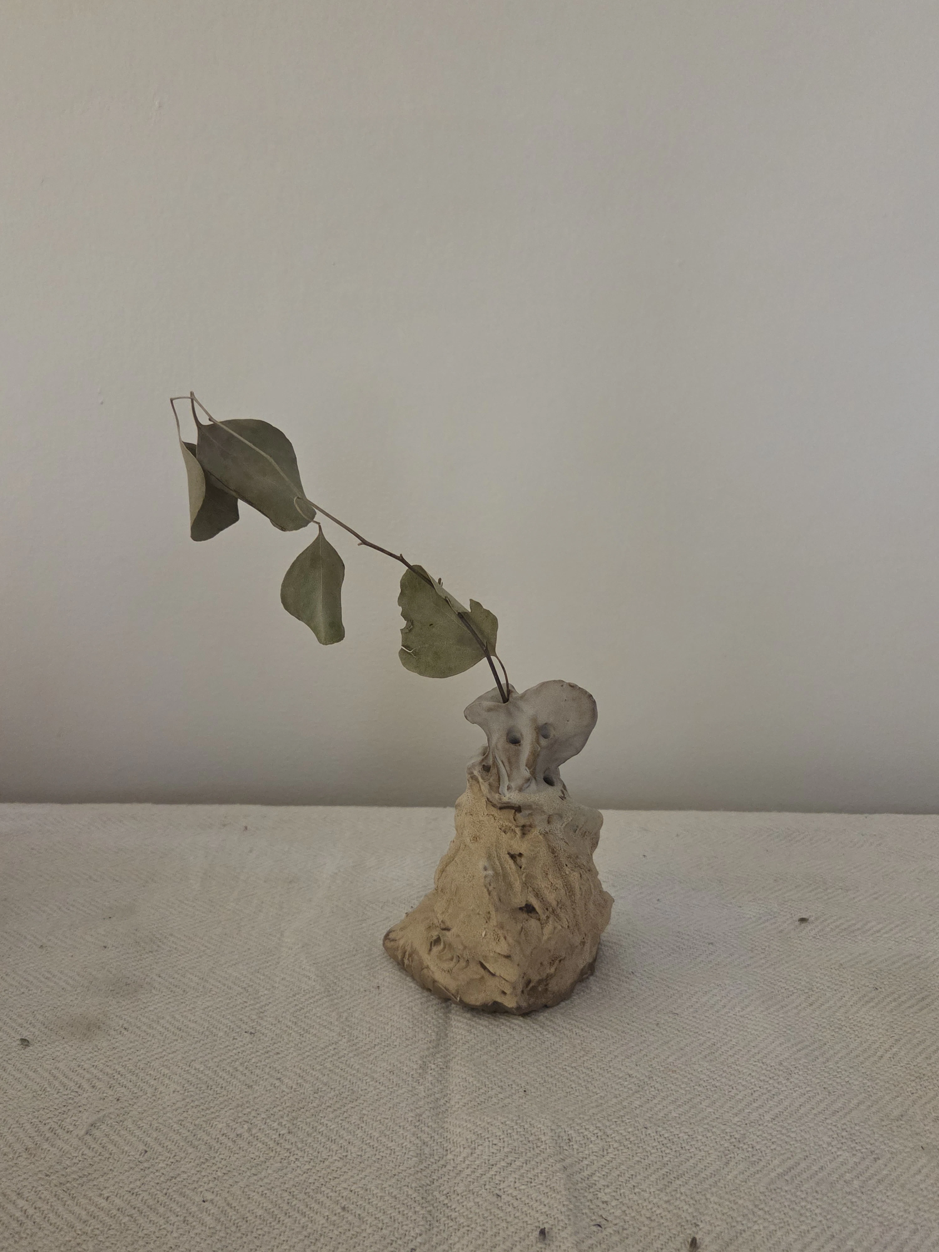 UM SMALL W/ STALK