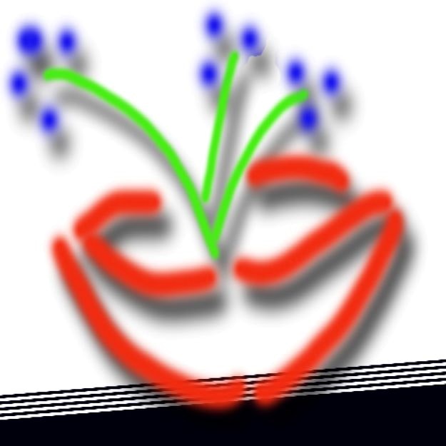 release image