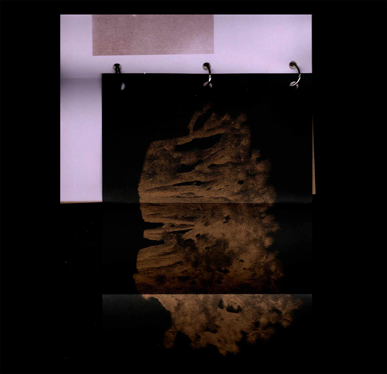 release image