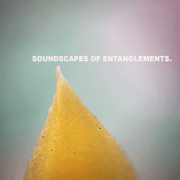 AudioVisual Soundscapes of Entanglements