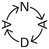 New Art Dealers Alliance