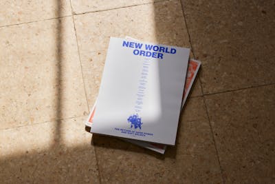 New World Order 2025
