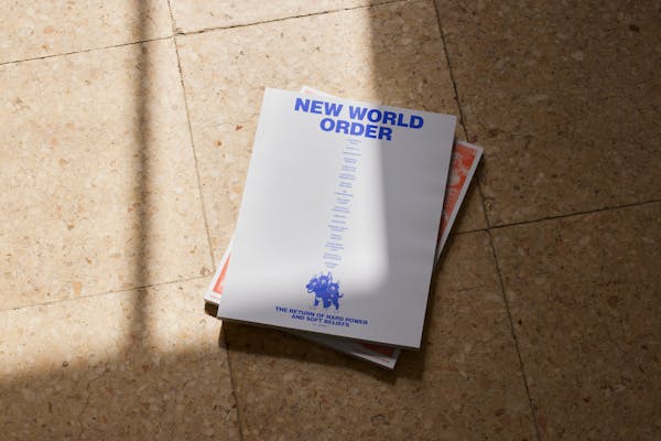 New World Order 2025
